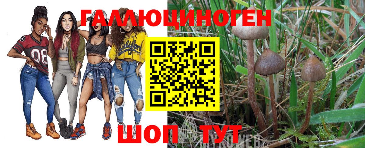 Галлюциногенные грибы MAGIC MUSHROOMS Чебаркуль