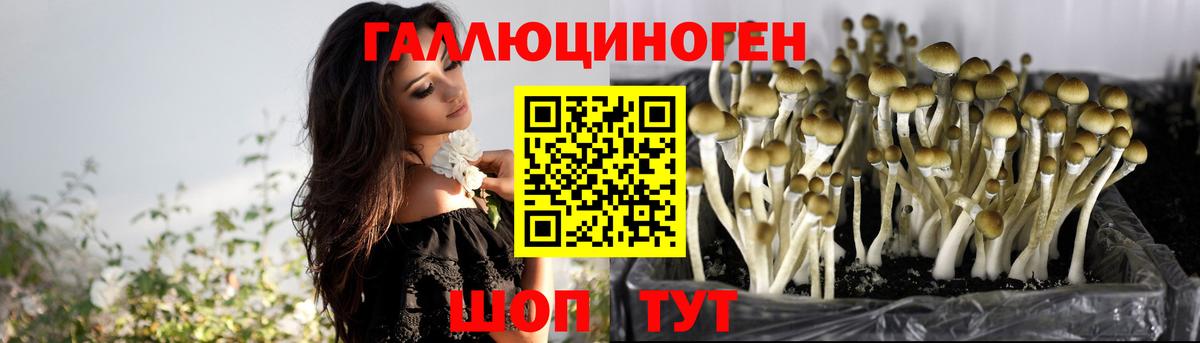 Чебаркуль  Галлюциногенные грибы мухоморы  Вход с VPN 